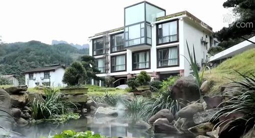 民宿里有了新玩法 湖南張家界 生態(tài)游 受追捧